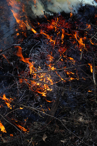 Hintergrund des Feuers - Foto, Bild