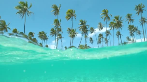 Αργή κίνηση Half Underwater Γραφική αμμώδης παραλία και γαλαζοπράσινα νερά του ωκεανού σε μια ηλιόλουστη μέρα στην εκπληκτική Γαλλική Πολυνησία. Όμορφη θέα του παραδείσου ακτή νησί με λευκή άμμο ακτή και πράσινο φοίνικες - Πλάνα, βίντεο