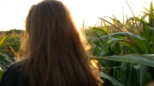 Flirterige roodharige meisje glimlacht en gaat weg door een maïsveld. Mooie jonge vrouw met blauwe ogen in kaki zweet overhemd bij zonsondergang. Agrarisch materiaal. - Video