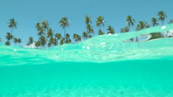 Slow Motion, Half Underwater: Τα κρυστάλλινα κύματα προσεγγίζουν εκπληκτική αμμώδη ακτή στην Ταϊλάνδη. Φωτεινός καλοκαιρινός ήλιος λάμπει σε τροπική λευκή άμμο παραλία, πράσινο φοίνικες και τυρκουάζ εξωτική θάλασσα. - Πλάνα, βίντεο