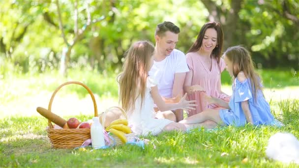 Ευτυχισμένη οικογένεια σε πικνίκ στο πάρκο μια ηλιόλουστη μέρα - Πλάνα, βίντεο
