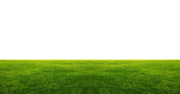 Image of green grass field with white copyspace above - Photo, Image