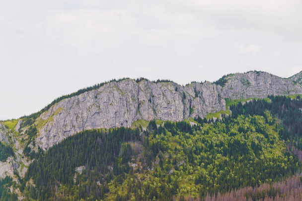 Szép kilátás a Zakopane Tátra hegységre Kasprowy Wierch a nyár. Utazási és idegenforgalmi koncepció. - Fotó, kép
