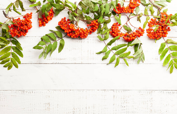Autumn concept wth leaves and  rowan berries on a white rustic b - Фото, зображення
