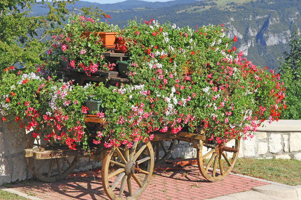 krásné horské květinový vozík s mnoha muškáty a jiné flo - Fotografie, Obrázek