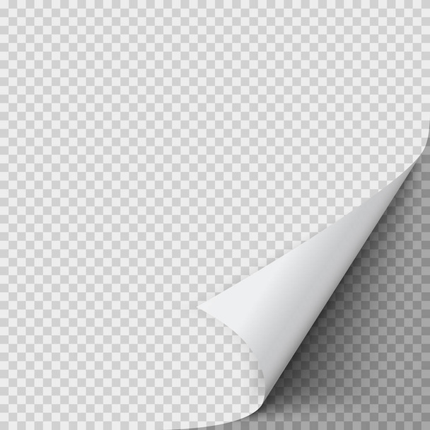 Rincón de papel rizado. Hoja de papel vacía con esquina retorcida. Ilustración vectorial
 - Vector, Imagen