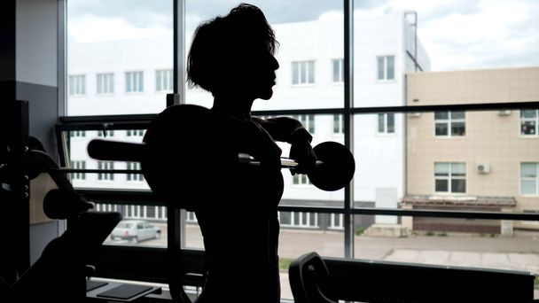 Silhouette of a woman at the window lifting barbell for shoulders muscles. - Fotoğraf, Görsel