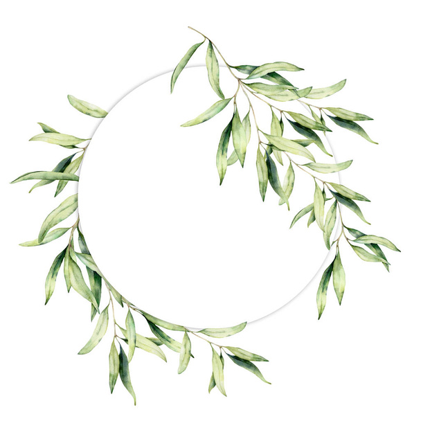 水彩オリーブの葉の花輪。白い背景に孤立した葉とオリーブの木の枝と手描きの花の円の境界線。デザイン、プリント、ファブリック用. - 写真・画像