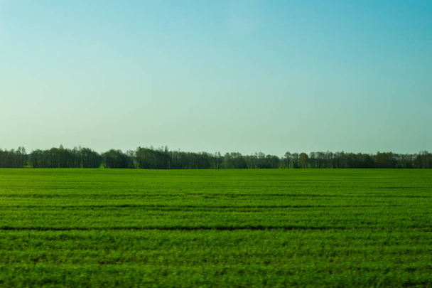 Wide field and the sky nature landscape background - Fotó, kép