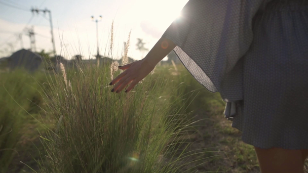  the girl goes touching the spikelets hand. sunset - Materiał filmowy, wideo
