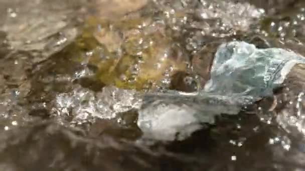 Slow Motion, Macro: Krystalicznie czysta górska woda rzeczna przepływa ponad studolarowy banknot. Zielony banknot wpada do lodowatego strumienia w słoneczny dzień. Cinematyczne ujęcie notatki w wodzie. - Materiał filmowy, wideo