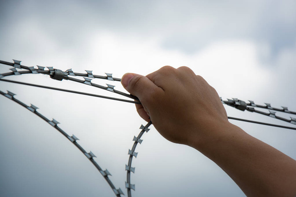 Mano de un refugiado detrás de alambre de púas
 - Foto, Imagen