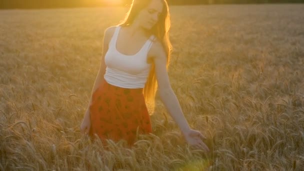 Mujer joven de pelo largo girando en espigas de trigo. El sol poniente. Inspiración
 - Imágenes, Vídeo