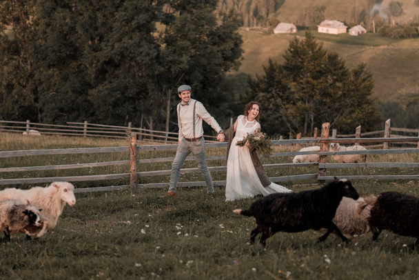 Vintage bruiloft van bruid en bruidegom op een ranch met een paard op piek heuvels - Foto, afbeelding