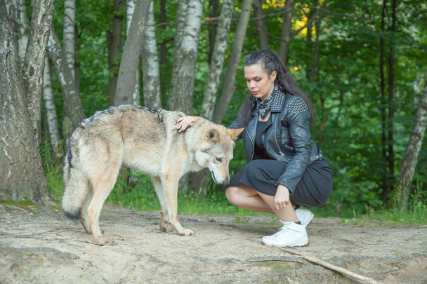 Adulto bonita modelo chica con real mezcla animal de lobo y perro
 - Foto, imagen
