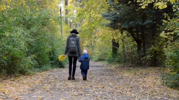 Mother and son walk by the hand along the autumn alley of the park. Back view - Footage, Video