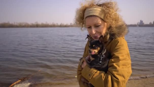 Portrét dospělé světlé kudrnaté vlasy Kavkazská žena s malým černobarevným psí plemeno hračka. Starý zábavný mazlíček vytyčí zub, jazyk spadne ven, není to správné sousto - Záběry, video