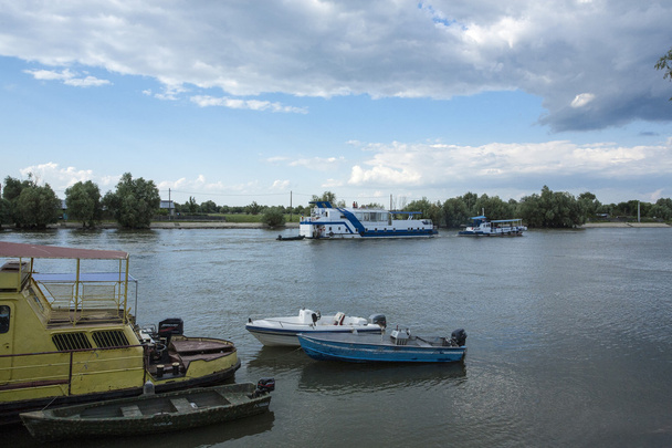 Delta del Danubio, Romania
 - Foto, immagini