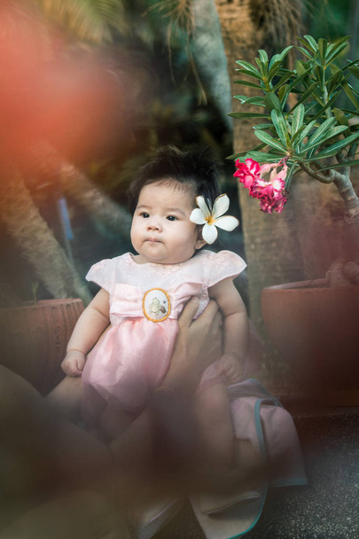 Lähikuva muotokuva aasialainen söpö vauva tyttö luonnon valo tausta
 - Valokuva, kuva