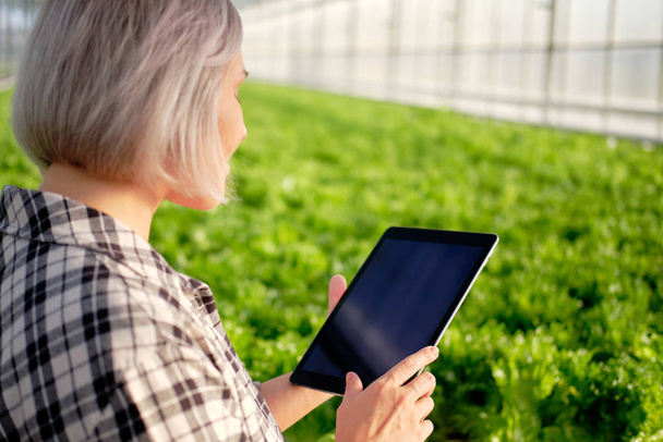 Young Woman Using or Playing Tablet in Greenhouse - Foto, Bild