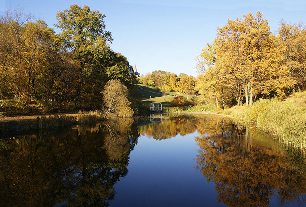 Autunno, un parco con un lago che riflette gli alberi
. - Foto, immagini