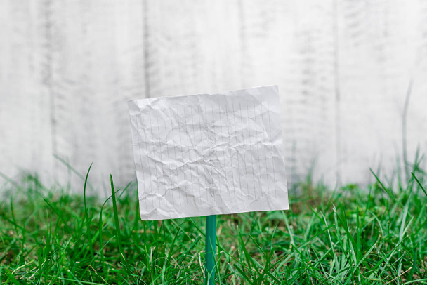 Plain paper cardboard attached to a stick and plugged in the grassy land. White empty sheet is placed in ground with green grass. Photography idea with small object - Photo, Image
