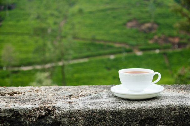Белый напиток Кубок изолированы на фоне плантации
 - Фото, изображение