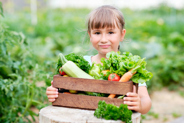 Little girl Holding a Basket full of Harvest Organic Vegetables and Root on Organic Bio Farm. Autumn Vegetable Harvest - Foto, Bild