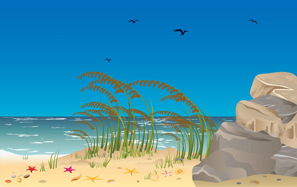 landscape of the beach - Vector, Image