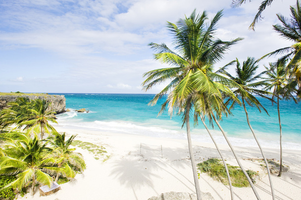 Barbade
 - Photo, image