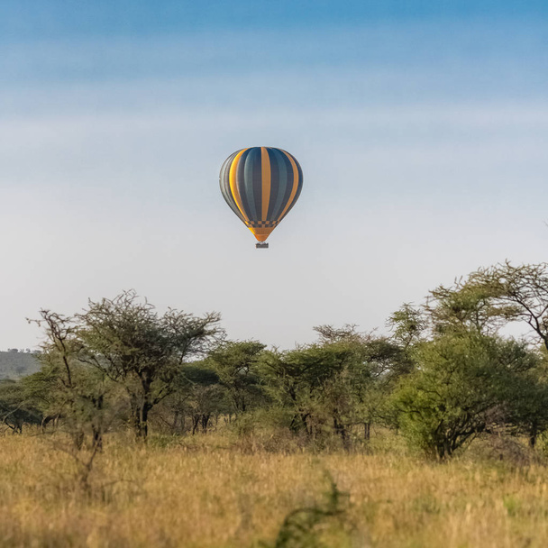 Air balloon above the savannah in the Serengeti reserve in Tanzania at  sunrise, African panorama  - Fotoğraf, Görsel