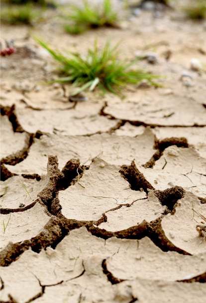 Засуха
 - Фото, изображение