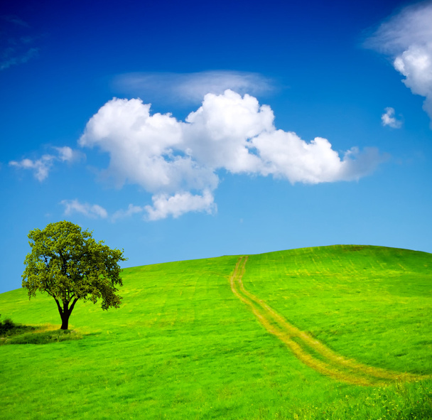 Campos verdes, cielo con nubes
 - Foto, Imagen
