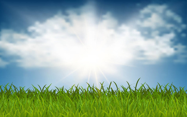 Meadow with sunlight on the blue sky - Vector, Image