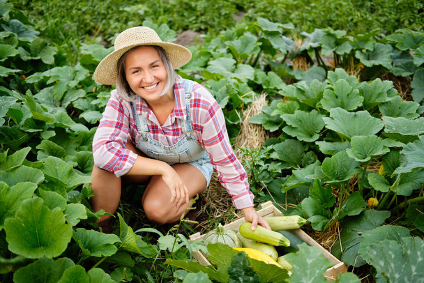 Cute girl in wearing Hat Picking Freshest Squash and Zucchini in a Garden. Autumn Vegetable Harvest - Fotoğraf, Görsel