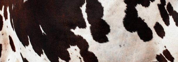 Contexte abstrait et texture de la peau de vache
 - Photo, image