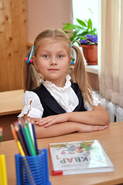 schoolgirl - Photo, Image