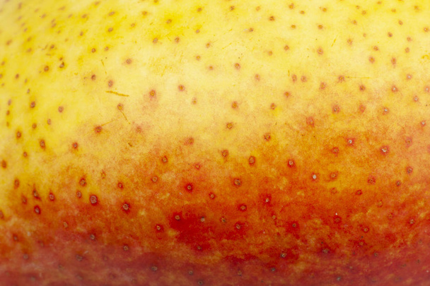 Pear skin surface texture pattern close up detail macro. Abstract background. - Foto, Imagem