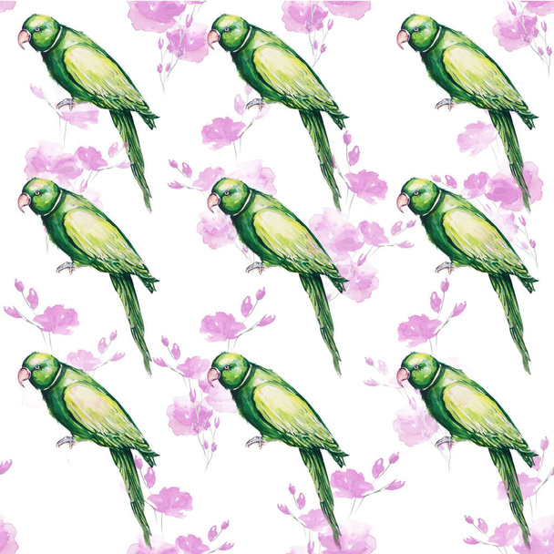 Parrot bird water color art illustration - Foto, immagini