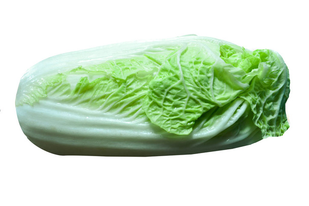  Nappa cabbage isolate on white background with clipping path  - Photo, Image