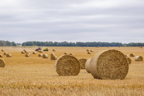 Hay roll on a meadow against a cloudy sky on a long focus with a tractor on a background - Photo, Image