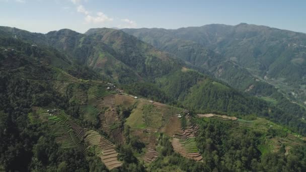 Viljelysmaa Filippiinien vuoristoalueella, Luzon - Materiaali, video
