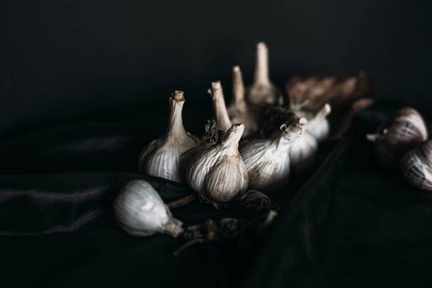 Garlic dark background. Garlic still life.  - Foto, Imagen