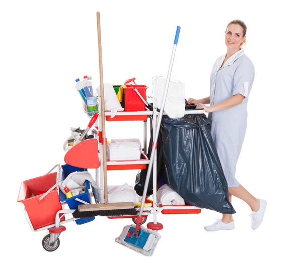 Female Cleaner With Cleaning Equipment - Foto, Bild