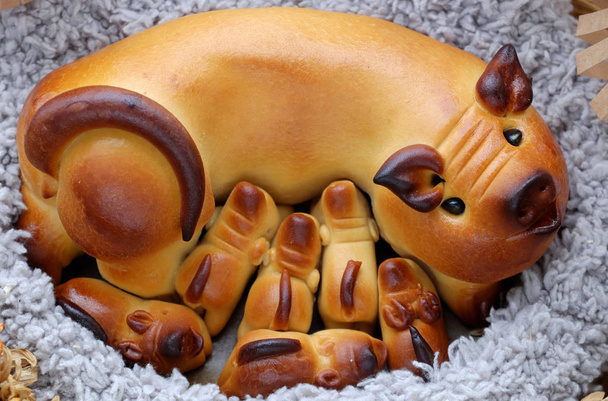 moon cake with mother pig and piglets shape - Photo, Image
