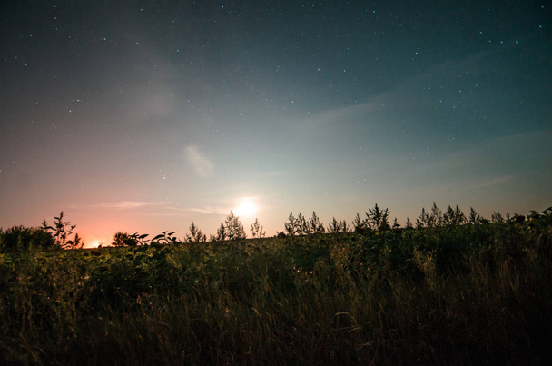 Moon over the horizon of sunflowers and a bright night sky - Fotó, kép