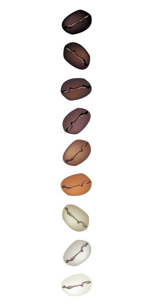 Diversi colori di chicchi di caffè in una fila verticale
 - Vettoriali, immagini