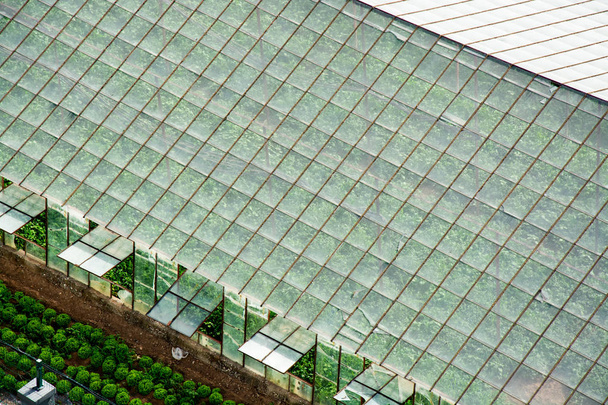 Luchtfoto van Greenhouse Stock Photo - Foto, afbeelding