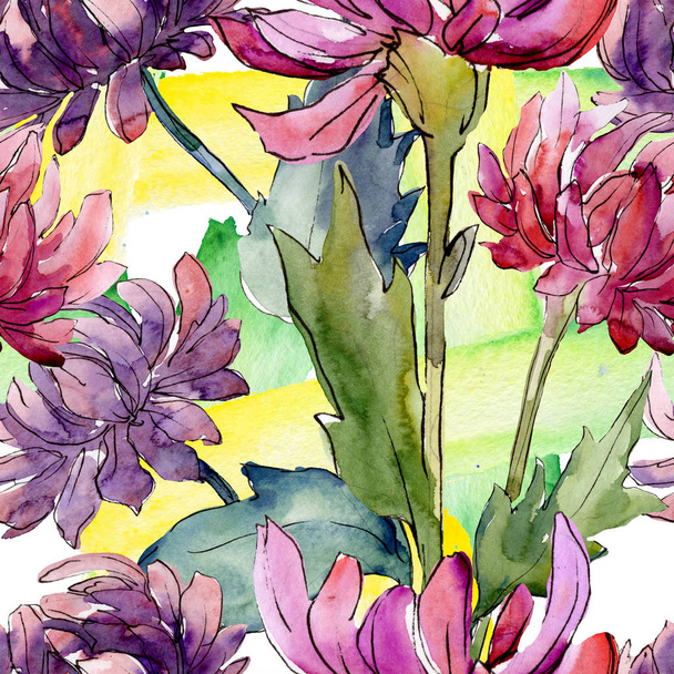 Aster virágos botanikai virágok. Akvarell háttér illusztráció meg. Folytonos háttérmintázat. - Fotó, kép