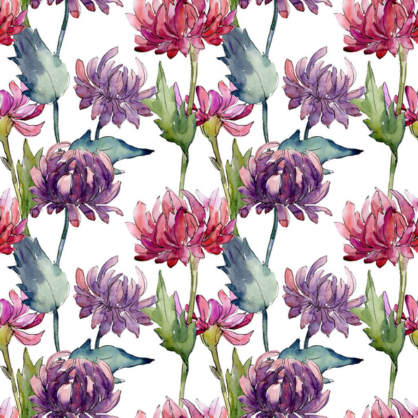 Aster bloemen botanische bloemen. Aquarel achtergrond illustratie instellen. Naadloos achtergrond patroon. - Foto, afbeelding